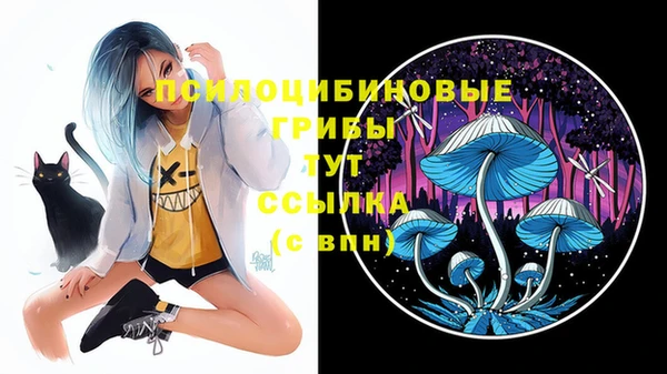 прущая мука Покров